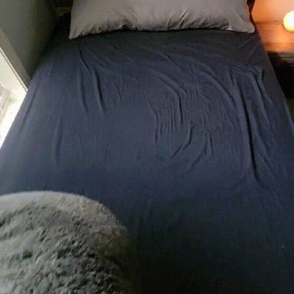 THE LUV BLANKET| S*X IS MESSY, YOUR BED ISN'T!